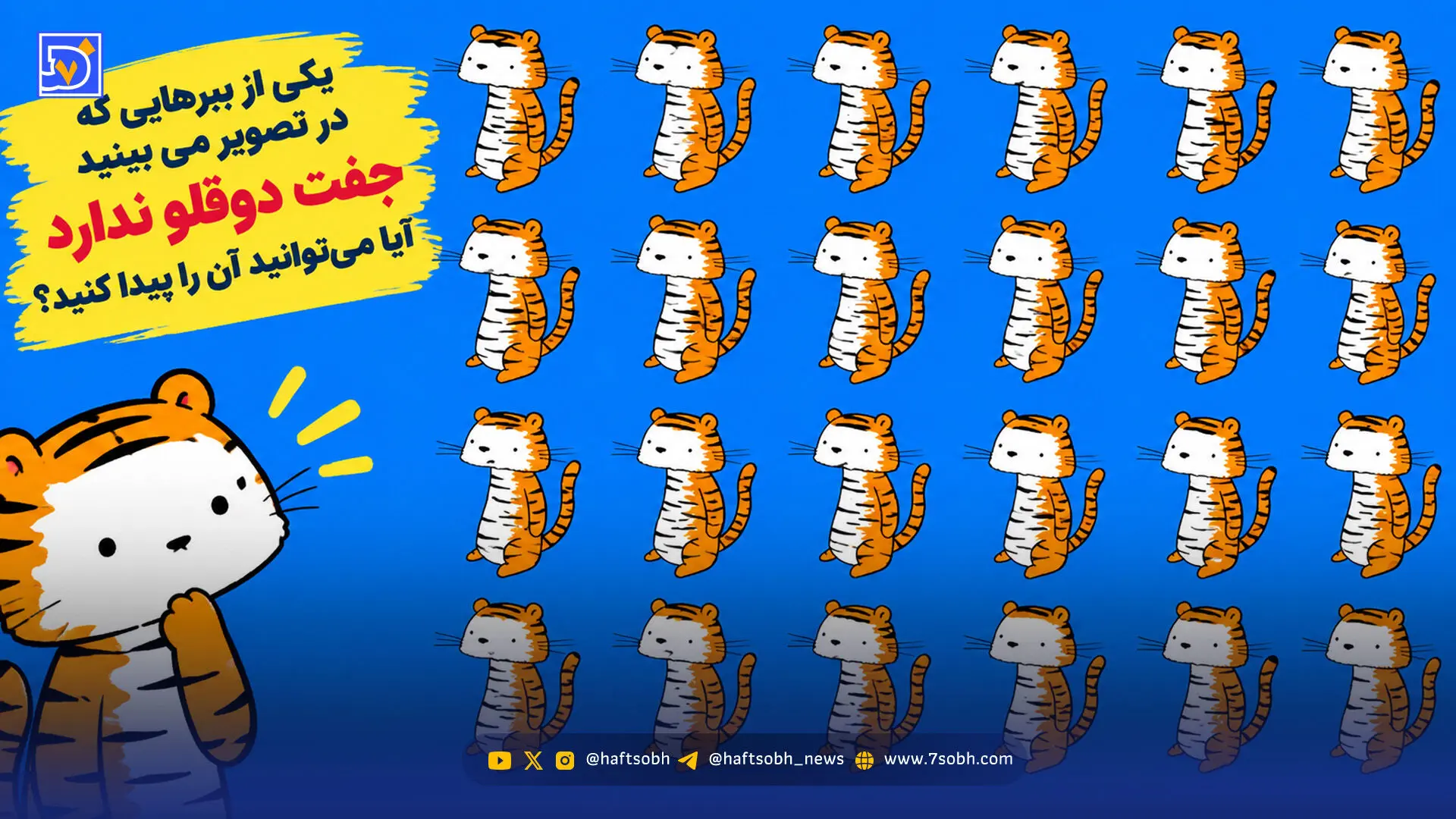 معما؛ یکی از ببرهایی که در تصویر می بینید جفت دوقلو ندارد آیا می‌توانید آن را پیدا کنید؟