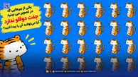 معما؛ یکی از ببرهایی که در تصویر می بینید جفت دوقلو ندارد آیا می‌توانید آن را پیدا کنید؟