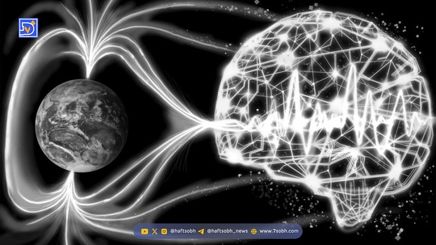 آیا جهان در آغاز هستی آگاهی داشت؟ میدان‌های مغناطیسی شبیه مغز انسان