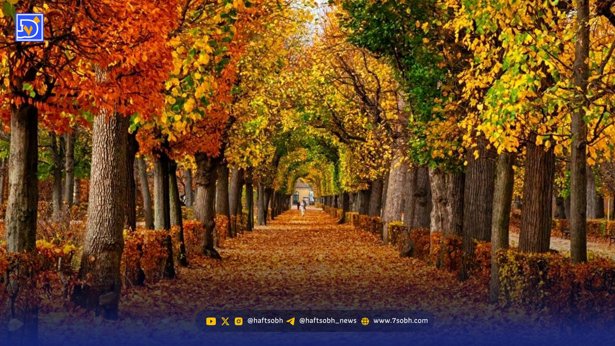 تهران از هفته آینده پاییزی می شود