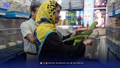 باند قاچاق پرندگان کمیاب متلاشی شد