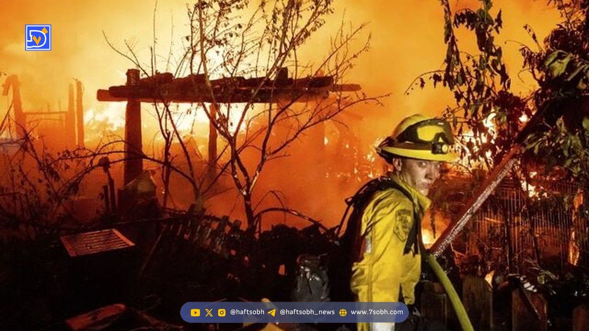 آتشسوزیهای جنگلی، آلودگی هوا را تشدید کردهاند