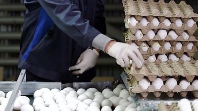 خرید روغن شرطی شد + جدول قیمت کالاهای اساسی