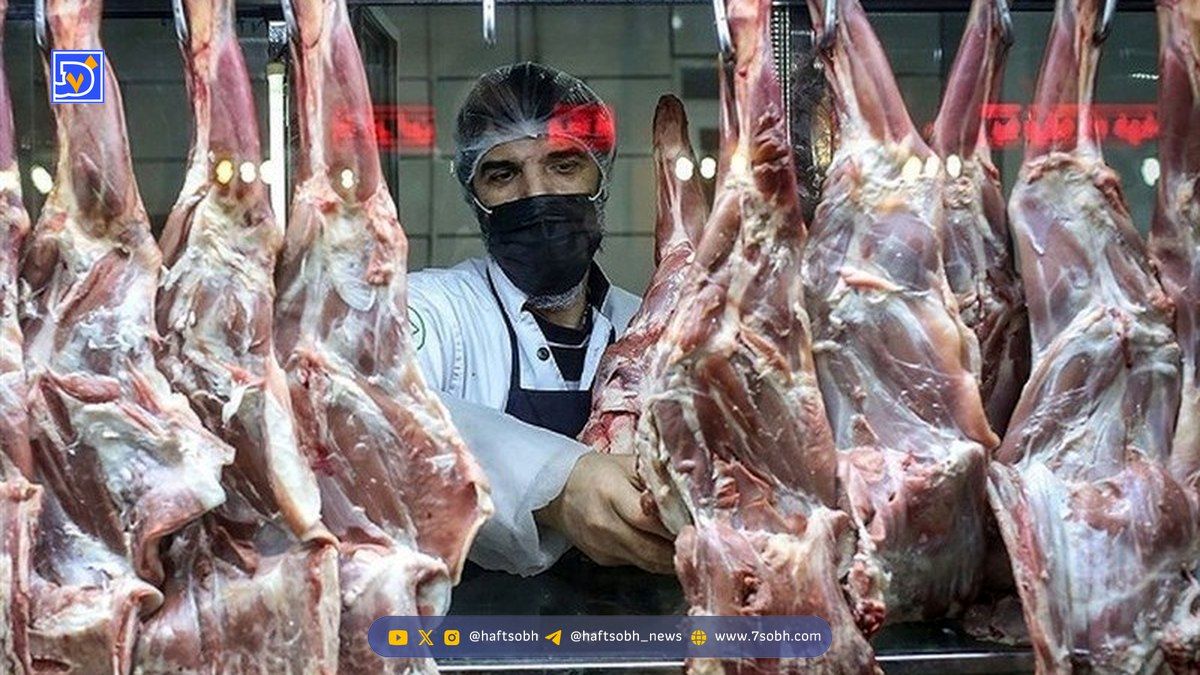 خبر رسمی درباره واردات گوشت ۱۸ آبان 1404