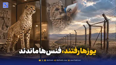 تورهای گاوبانگی؛ تهدیدی برای آرامش مرال‌ها
