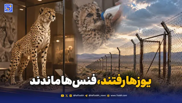  یوزها رفتند، فنس‌ها ماندند