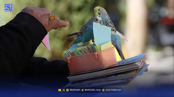 اولین فال حافظ را چه کسی و در چه زمانی گرفت؟