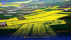 50 سال انتظار برای یک حکم | قلع و قمع 64 ویلا