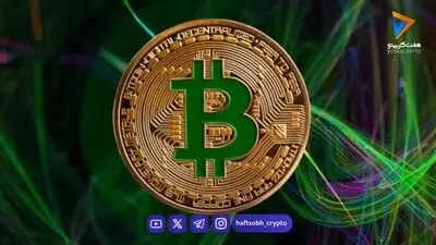 بیت‌کوین پس از رشد ۱۳ درصدی از بالاترین سطح ۸ ماه اخیر عقب نشست 