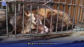 افزایش کشفیات حیوانات قاچاق در قلب ایران