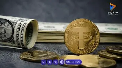 اصطلاحات پرکاربرد در دنیای میم‌ کوین‌ها؛ واژه‌نامه‌ای برای هر معامله‌گر کریپتویی
