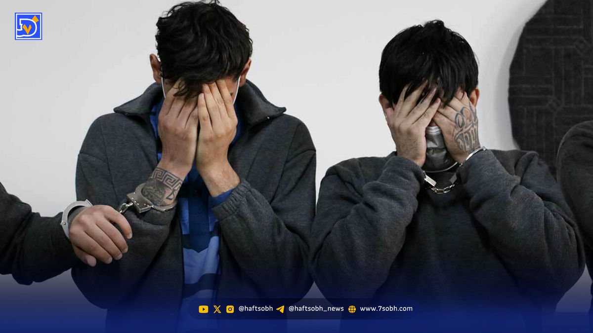 از سرم تا نانچیکو، از مخدر تا جنایت در باغ