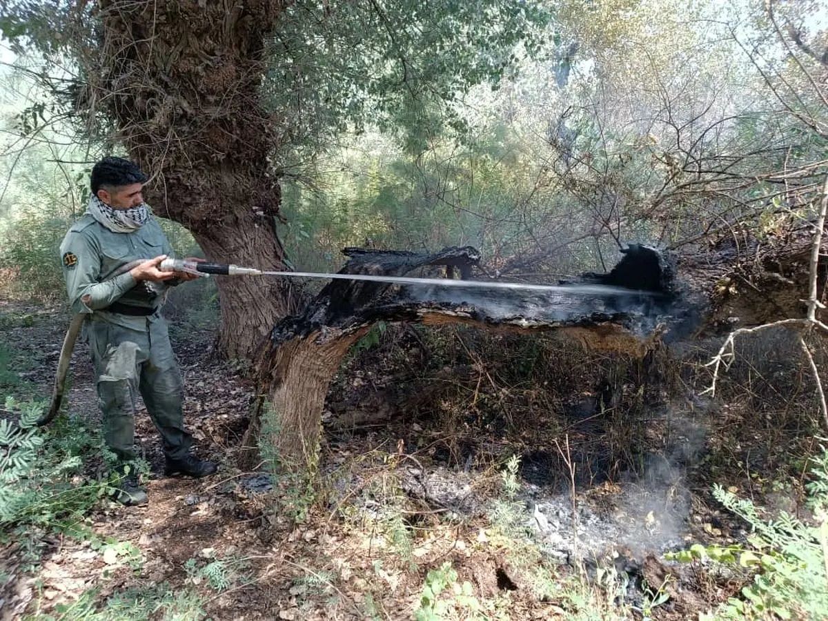 آتشسوزی ارتفاعات مانشت سیروان
