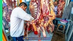 میادین تهران، از امروز میزبان گوشت منجمد وارداتی است