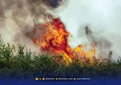 سوءمدیریت، تجهیزات را هم سوزاند