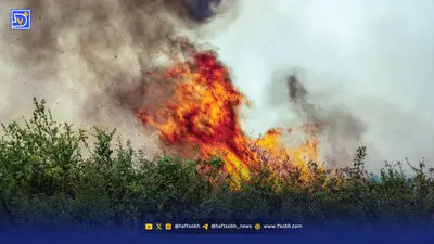 حاملان مهاجمان نامرئی جنوب