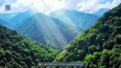 ساکت‌ترین نقطه زمین کجاست؟ جایی که صدای گردش خونت را هم می‌شنوی!