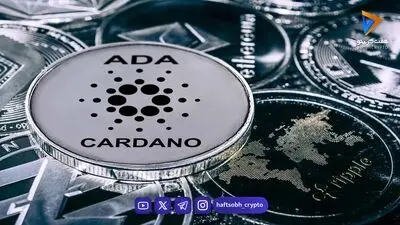 جهش نقدینگی و توسعه زیرساخت‌های نهادی؛ گام‌های بزرگ کاردانو برای ورود به عصر جدید