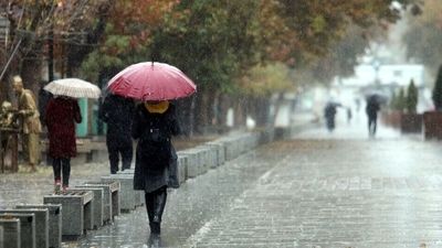 هشدار هواشناسی بوشهر درباره خطر غرق شدن شناورها و شناگران در سواحل 