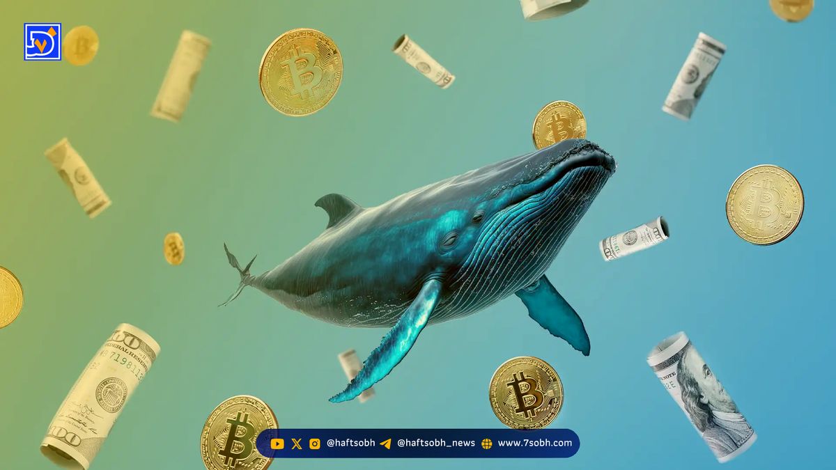 جهش ۳۶ درصدی بیت کوین پس از اتمام فروش نهنگ ها