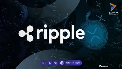 ثبت سیزدهمین هفته متوالی ورود سرمایه به ETFهای ریپل؛ آیا XRP آماده صعود جدید می‌شود؟