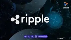 ثبت سیزدهمین هفته متوالی ورود سرمایه به ETFهای ریپل؛ آیا XRP آماده صعود جدید می‌شود؟