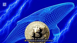 تحلیل بیت کوین (16 مهر): سود هنگفت نهنگ‌های کوتاه‌مدت؛ قیمت BTC به کدام سمت می رود؟
