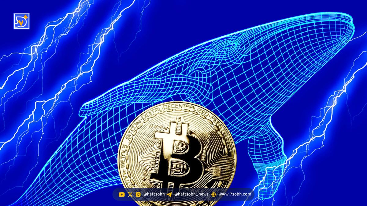 تحلیل بیت کوین (16 مهر): سود هنگفت نهنگ‌های کوتاه‌مدت؛ قیمت BTC به کدام سمت می رود؟