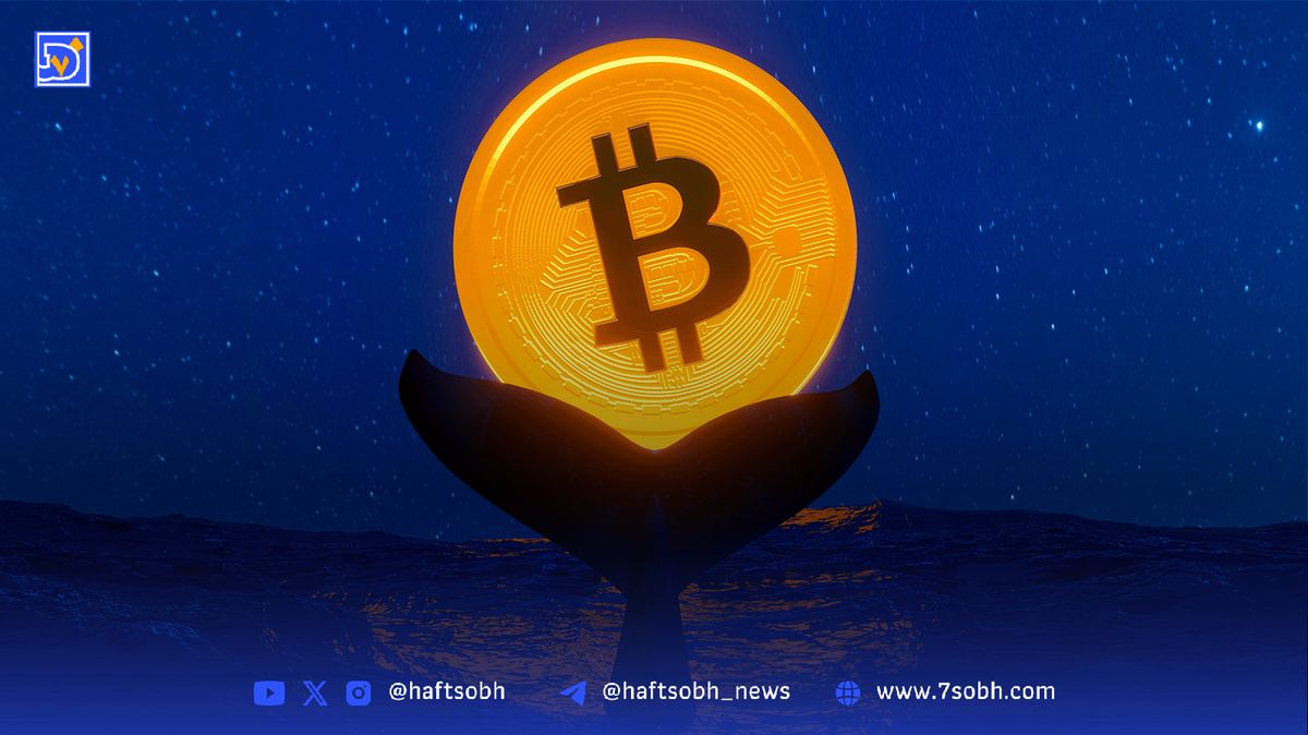 ضرر ۱۰۰ میلیون دلاری یک نهنگ کریپتو پس از سقوط بیتکوین
