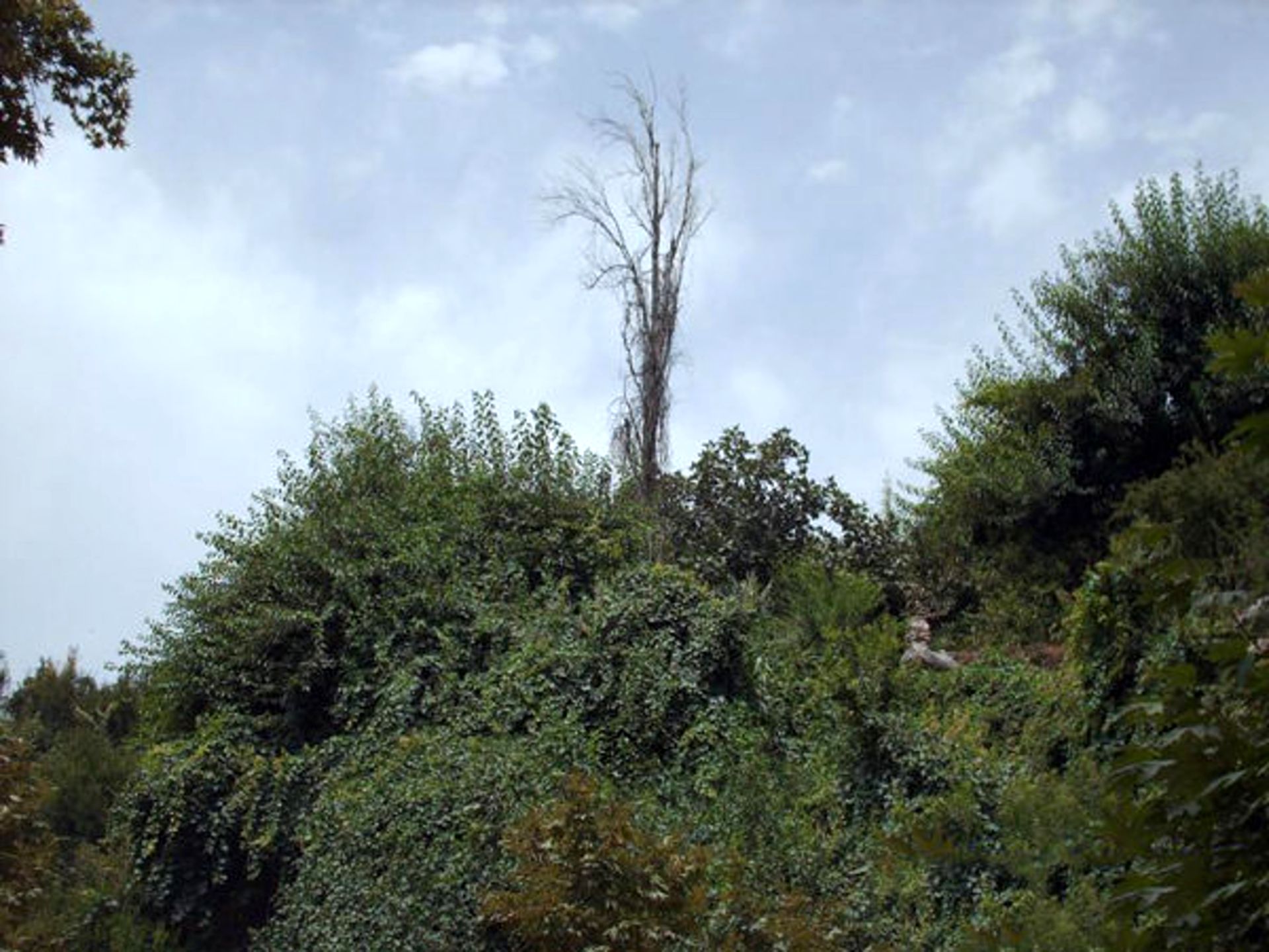روستای گردشگری مارین