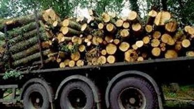 کشف زمین خواری ۳۶۰۰ میلیارد ریالی در چالوس