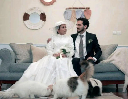 زینب موسوی, امپراطور کوزکو, طنز زینب موسوی