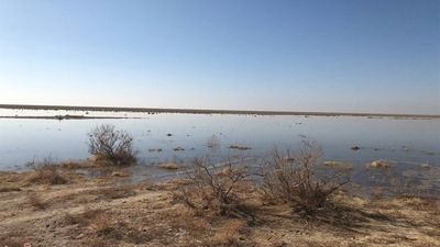 نمونه‌های ذرات معلق برداشت شده در سطح تهران سیانور نداشت