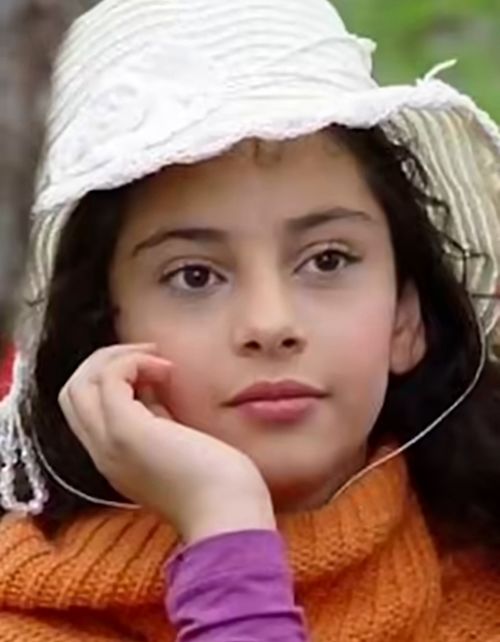 مسیر رشد ترلان پروانه در قاب تصویر