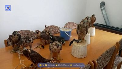 کشف چهار تن مواد مخدر از قاچاقچیان در شهرستان الیگودرز