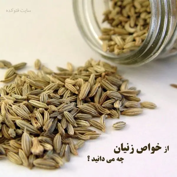 خاصیت زنیان در طب سنتی و برای لاغری، پوست