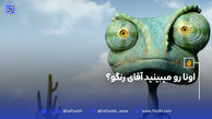 اونا رو میبینید آقای رنگو؟
