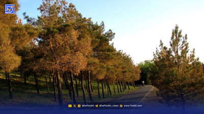 افزایش محسوس دما در شمال کشور