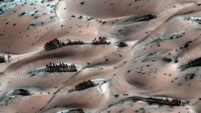 چکش خوردن تکه‌ای از مریخ و اسکلت یک دایناسور 