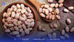 لوبیا چیتی ارزان‌تر شد؛ بررسی قیمت روز در بازار ایران