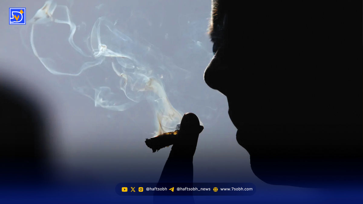 حشیش؛ از سرخوشی تا سقوط