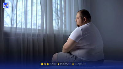 ظروف پلاستیکی برای نگهداری چه غذاهایی مناسب هستند؟